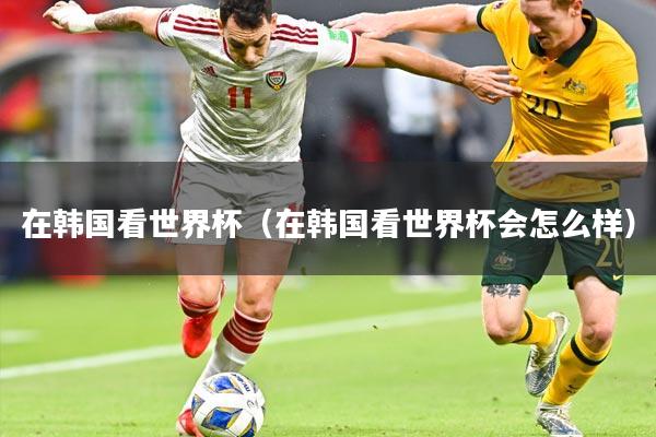 在韩国看世界杯(在韩国看世界杯会怎么样)