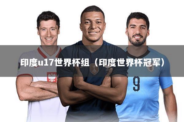 印度u17世界杯组(印度世界杯冠军)