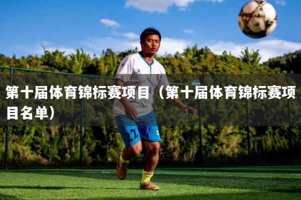 第十届体育锦标赛项目（第十届体育锦标赛项目名单）