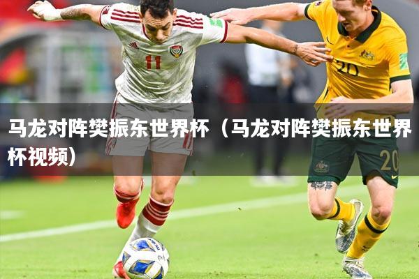马龙对阵樊振东世界杯(马龙对阵樊振东世界杯视频)