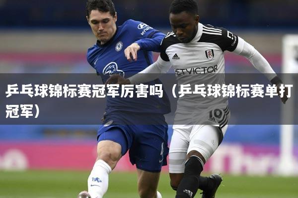 乒乓球锦标赛冠军厉害吗(乒乓球锦标赛单打冠军)