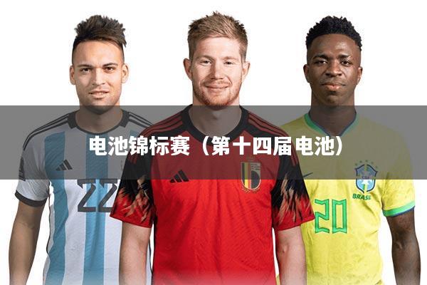 电池锦标赛(第十四届电池)