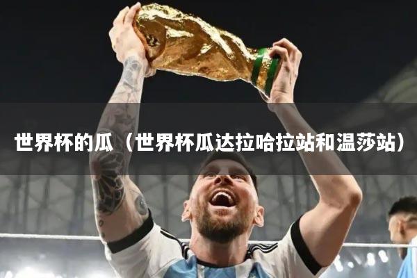 世界杯的瓜(世界杯瓜达拉哈拉站和温莎站)