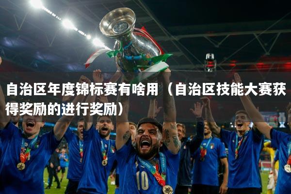 自治区年度锦标赛有啥用(自治区技能大赛获得奖励的进行奖励)