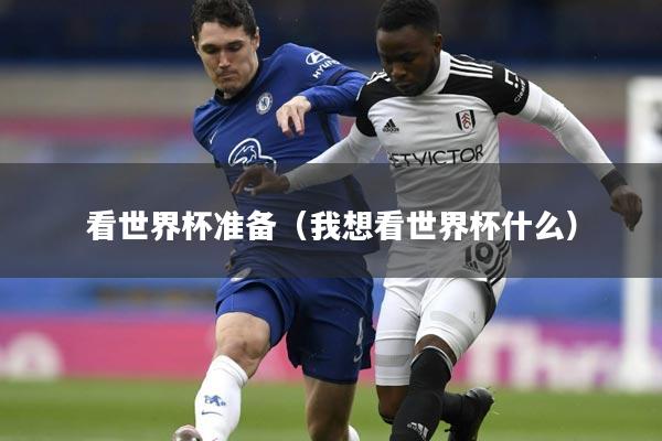 看世界杯准备(我想看世界杯什么)