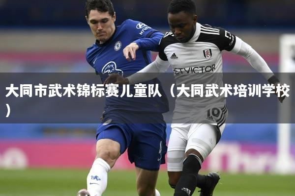 大同市武术锦标赛儿童队（大同武术培训学校）