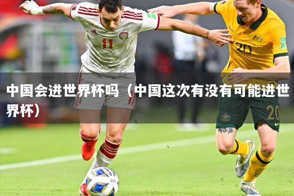 中国会进世界杯吗（中国这次有没有可能进世界杯）